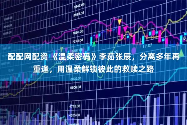 配配网配资 《温柔密码》李茹张辰，分离多年再重逢，用温柔解锁彼此的救赎之路