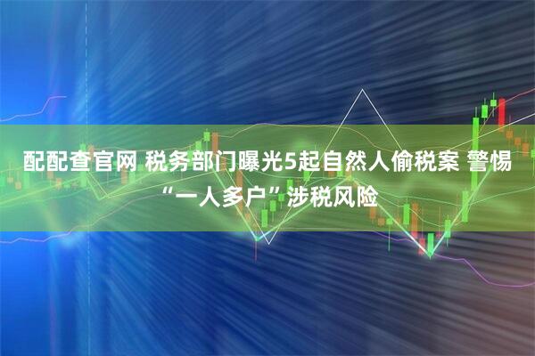配配查官网 税务部门曝光5起自然人偷税案 警惕“一人多户”涉税风险